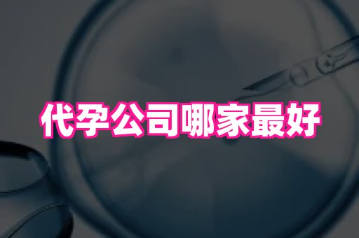 北京助孕网 1
