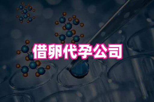 北京助孕网 2